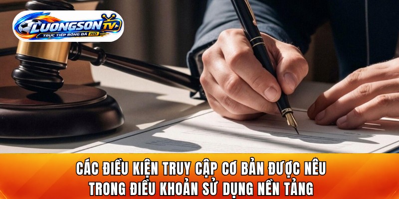 Các điều kiện truy cập cơ bản được nêu trong điều khoản sử dụng nền tảng